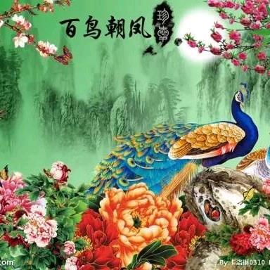 用户6460421078155