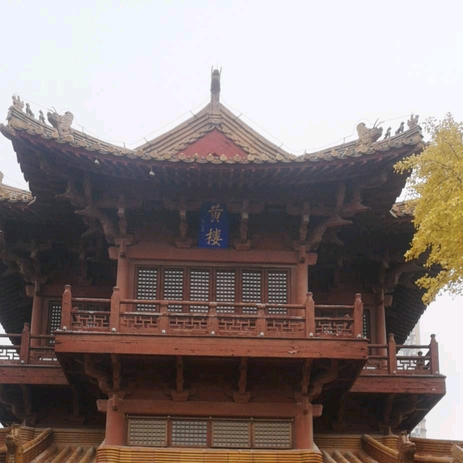 东坡上的葡萄