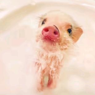 远方弟弟(⁎⁍̴̛ᴗ⁍̴̛⁎)ฅ՞•ﻌ