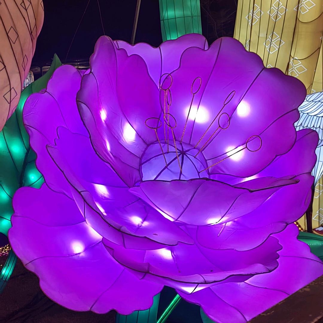 手机用户64560997184（夏慕柔）