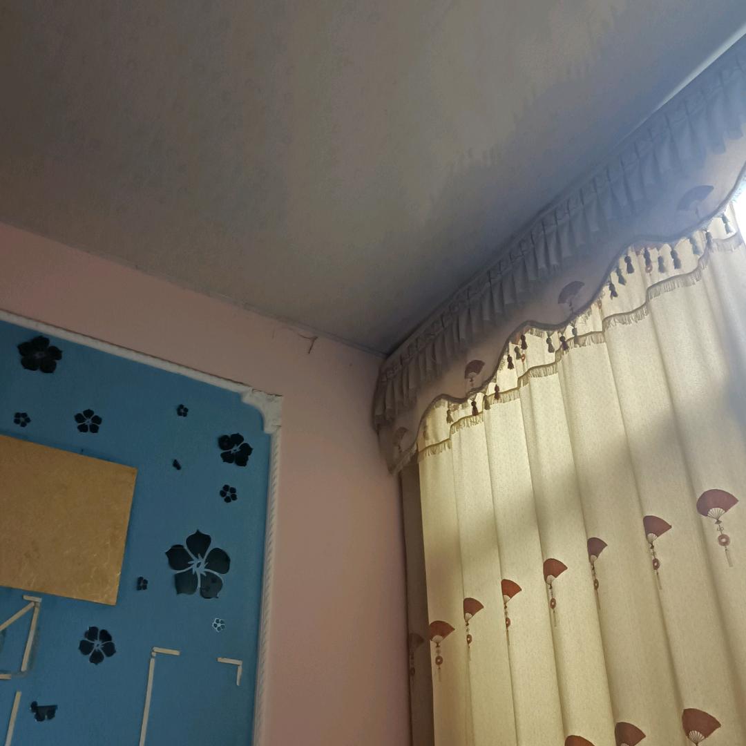 马秀芬教授