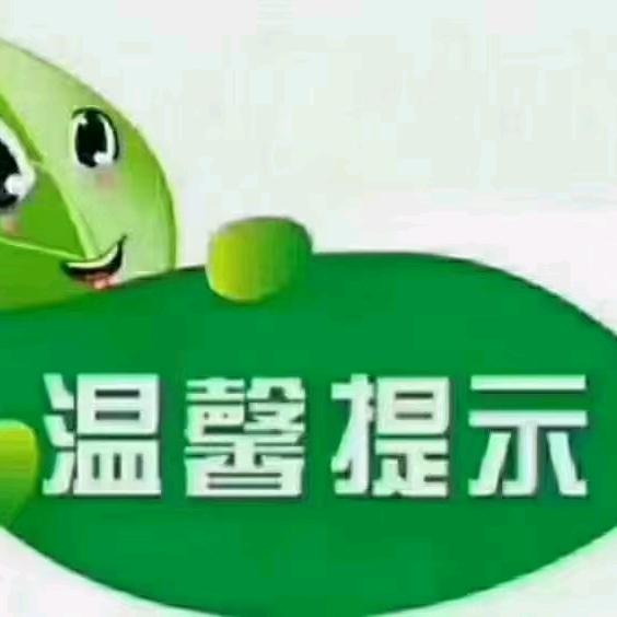 自由飞翔