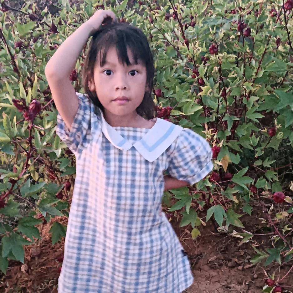 释..怀..的..情..绪