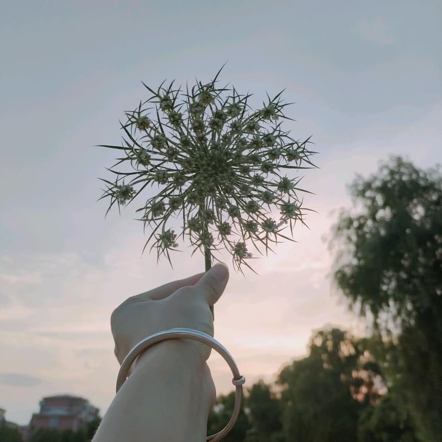 🐭心有所鼠