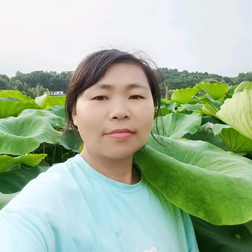 廖春平