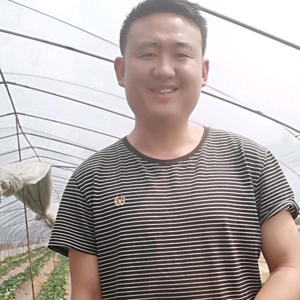 潇洒依旧