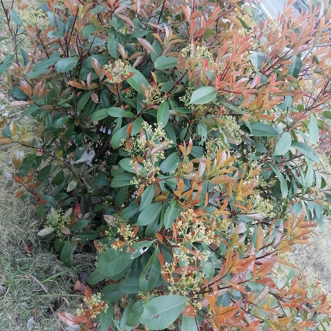 🌾浮💐梦🎋