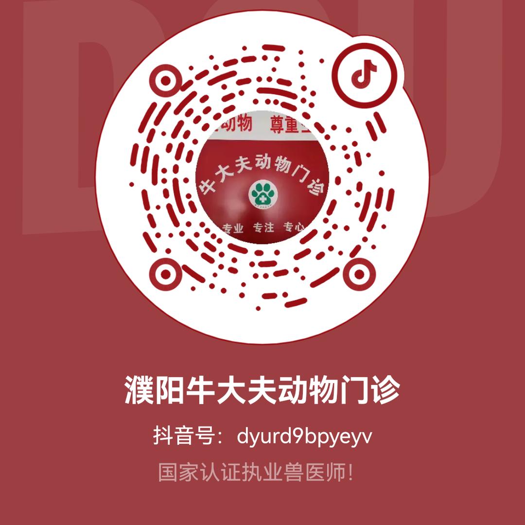 牛大夫动物门诊（始于2003年）