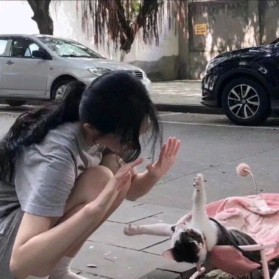 迪迪钟意外交
