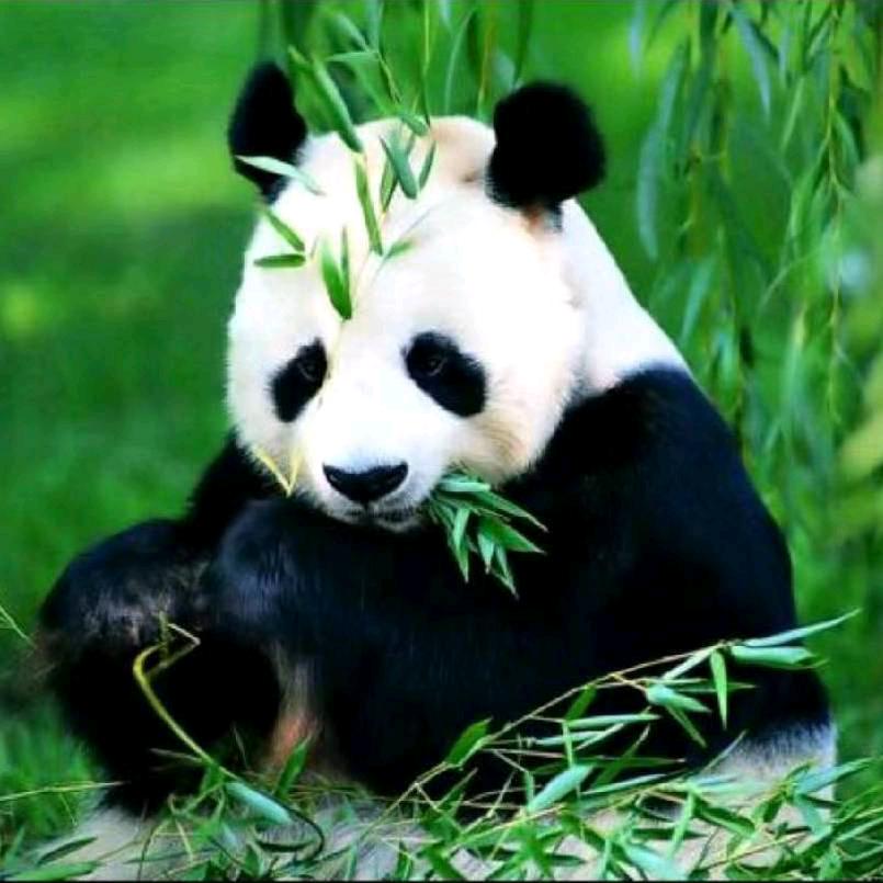 随缘