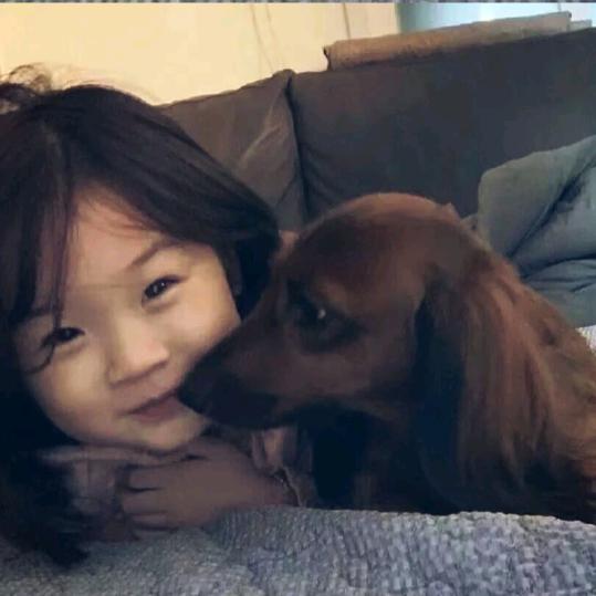 香菜叶子