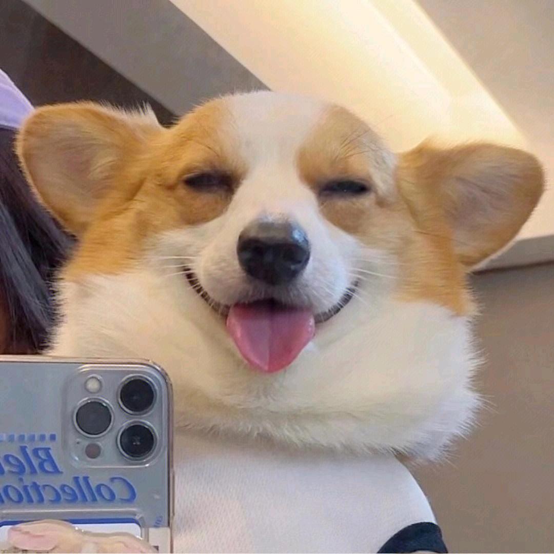 86746697200