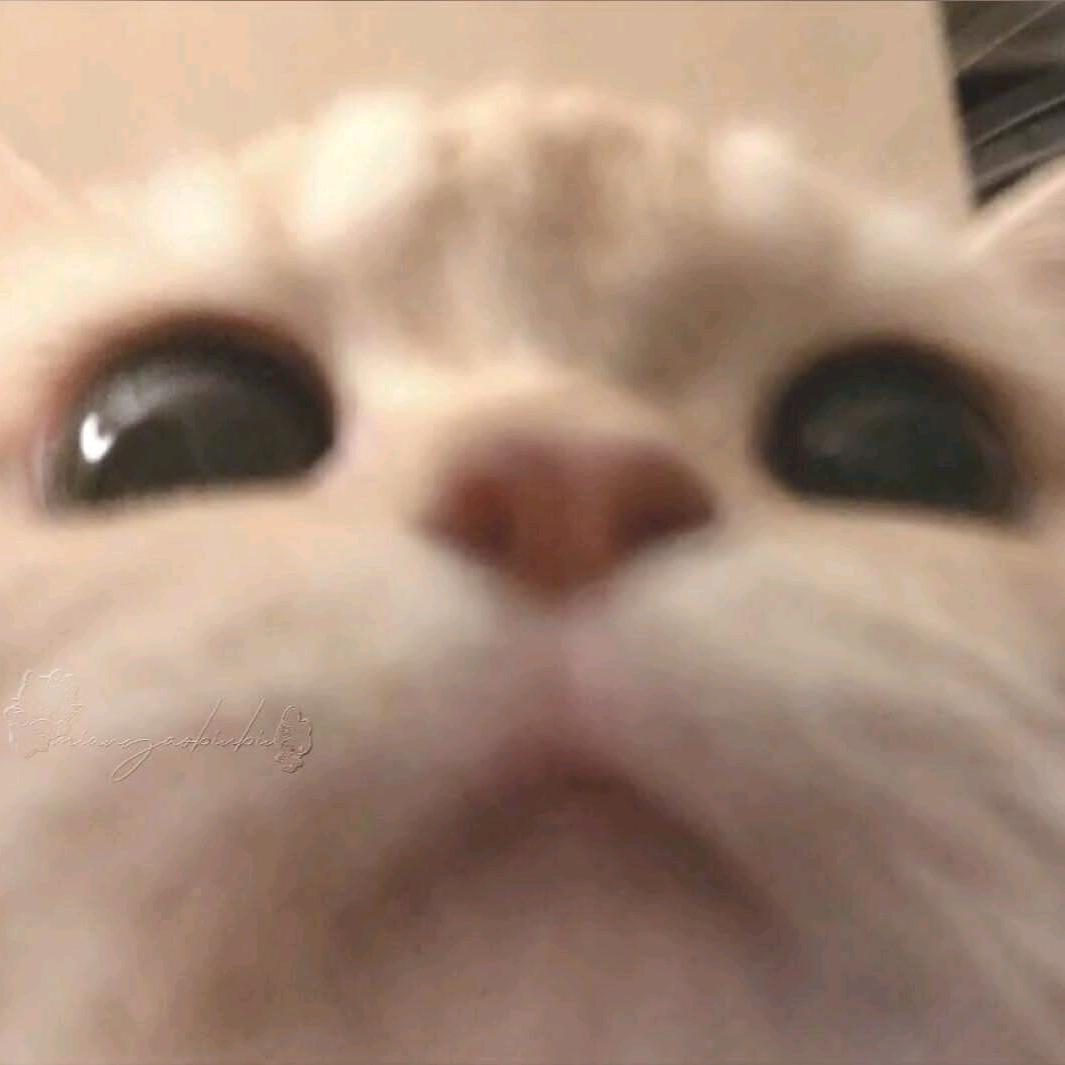 嗯哦-