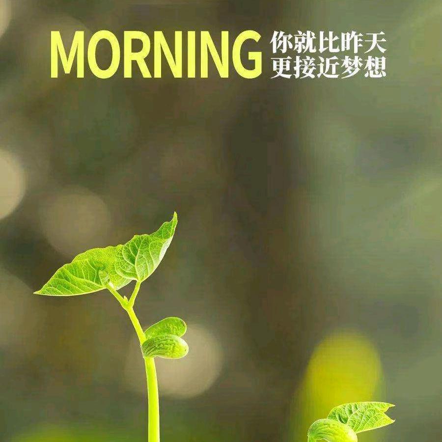 豁达