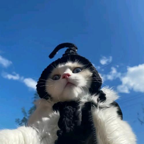 优家贝贝母婴店