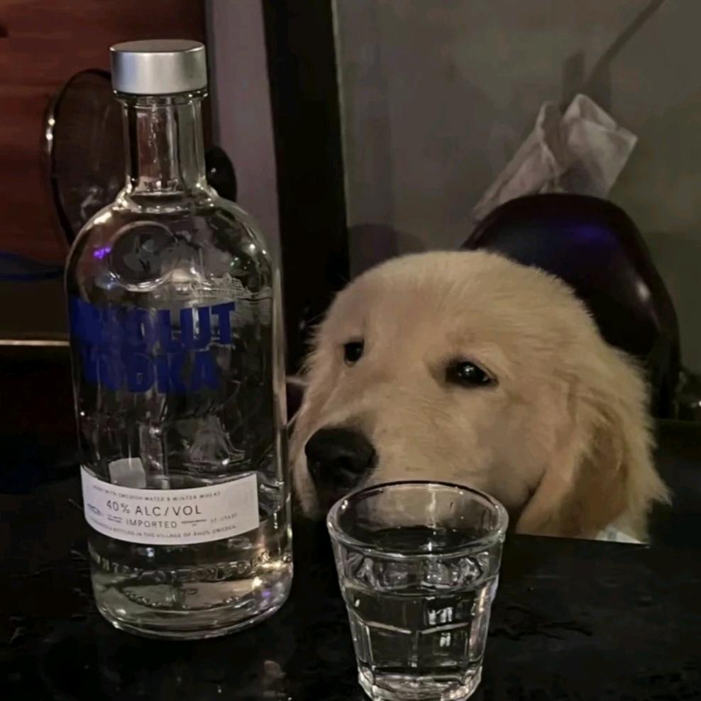 铁甲小宝的拳头