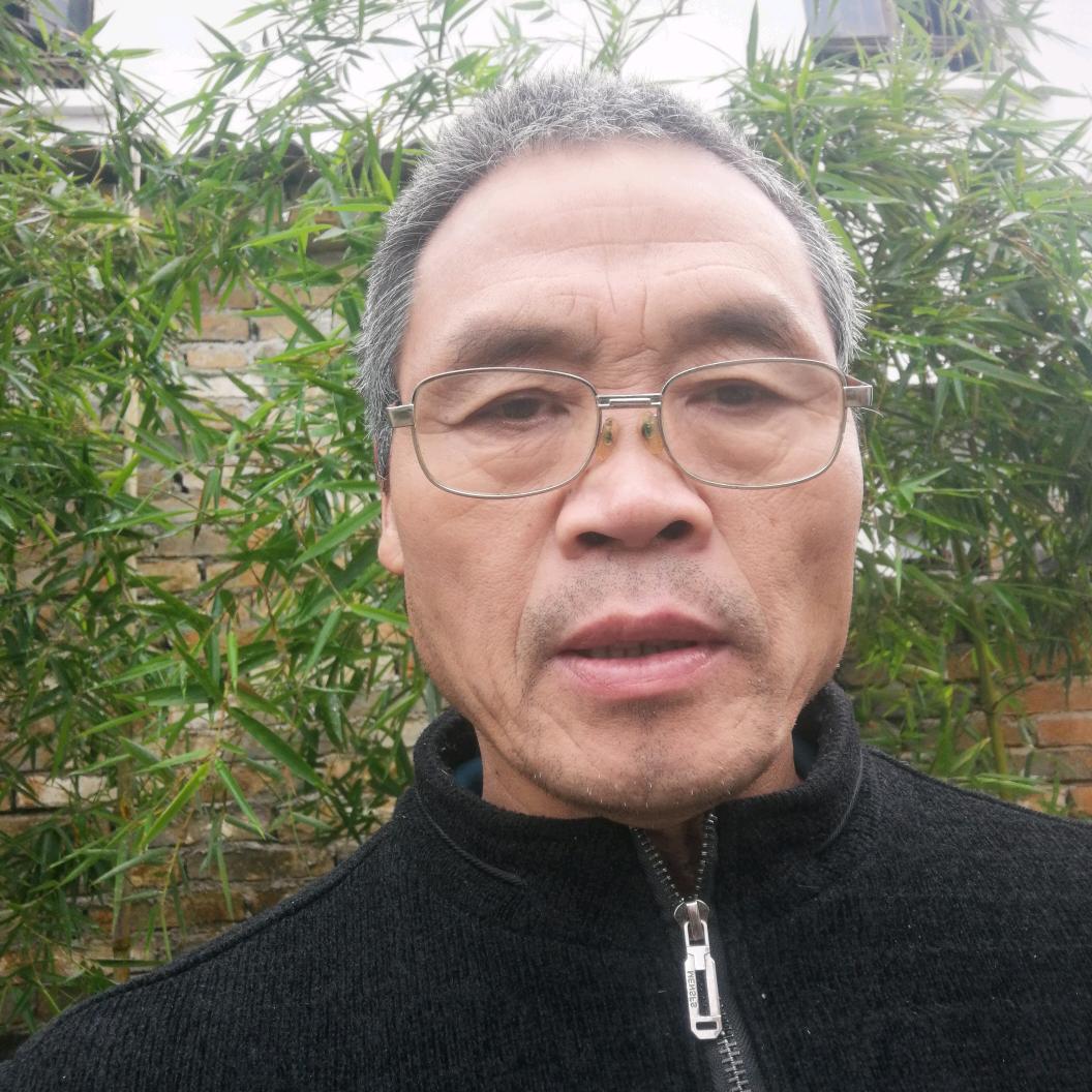 诚信：短视频，