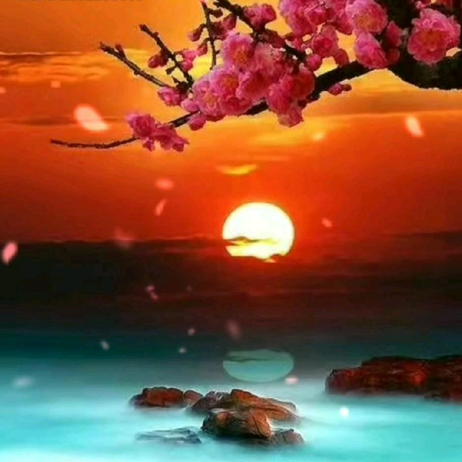 夕阳红红