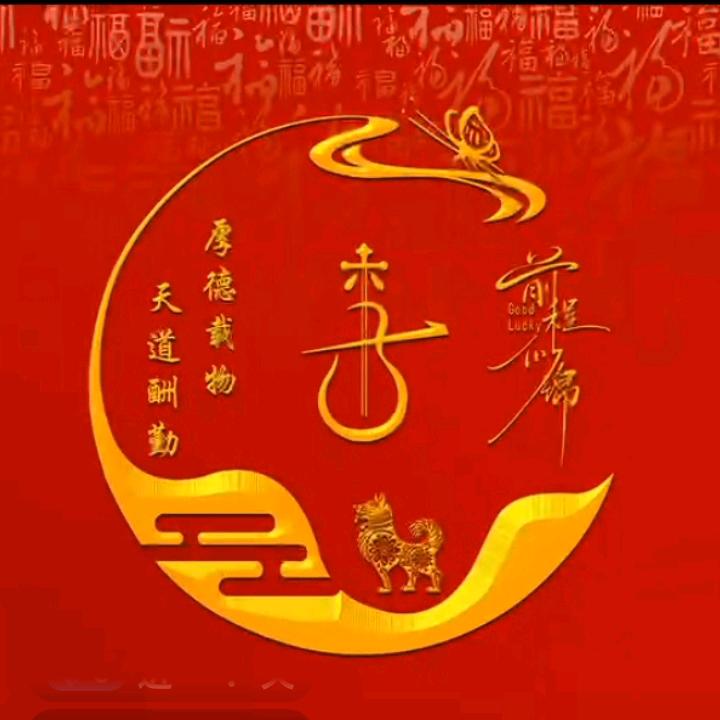 君子兰