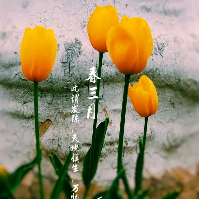 @ 🇨🇳 漢 音 鸣🎄2