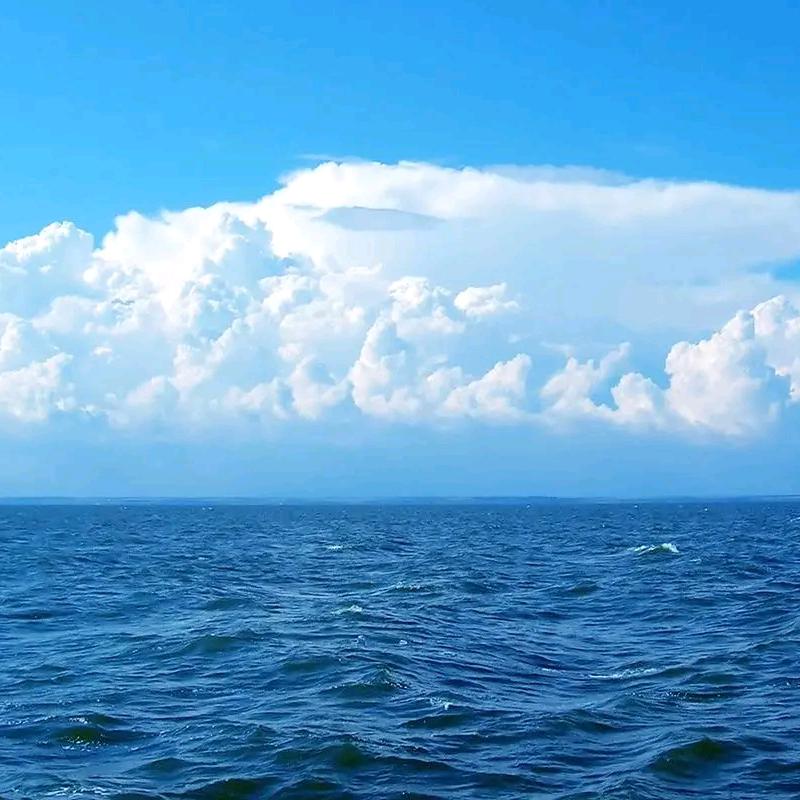 风雪漂过海