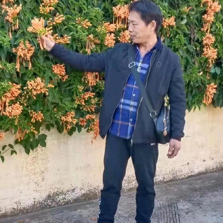 一帆风顺