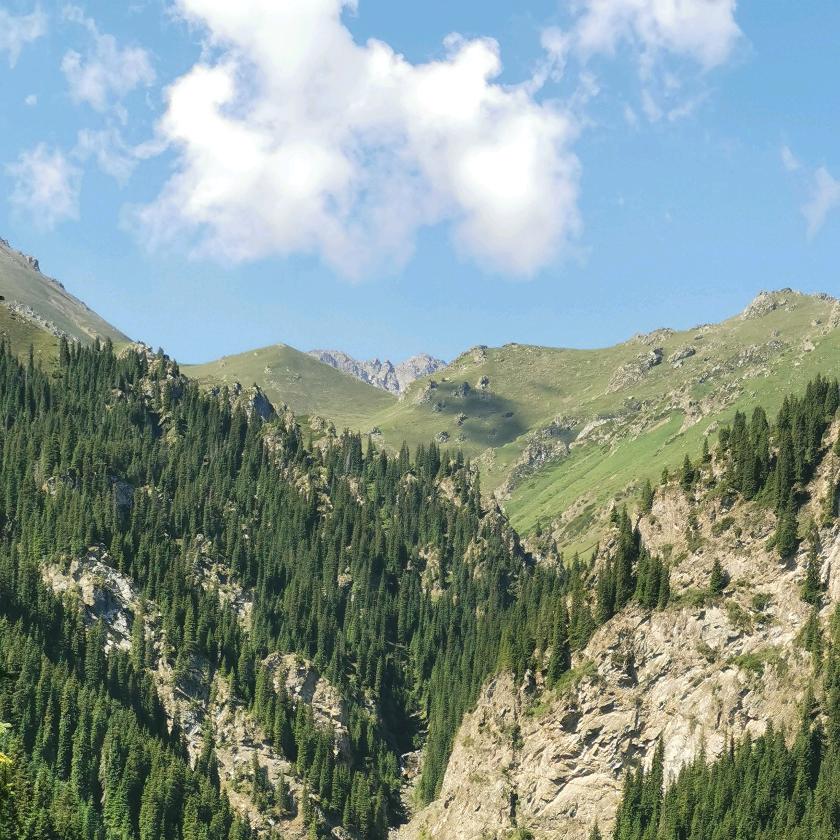 🌜山在等海🌛🐍