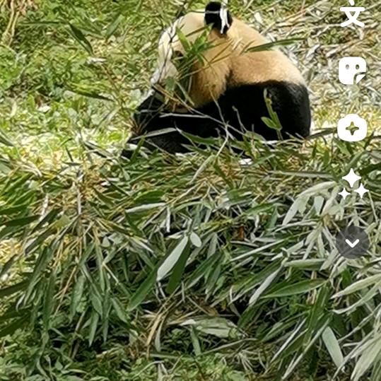 平凡世界