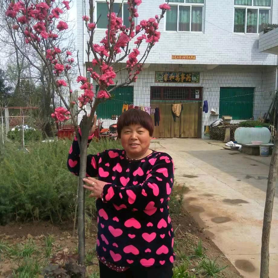 团团圆圆