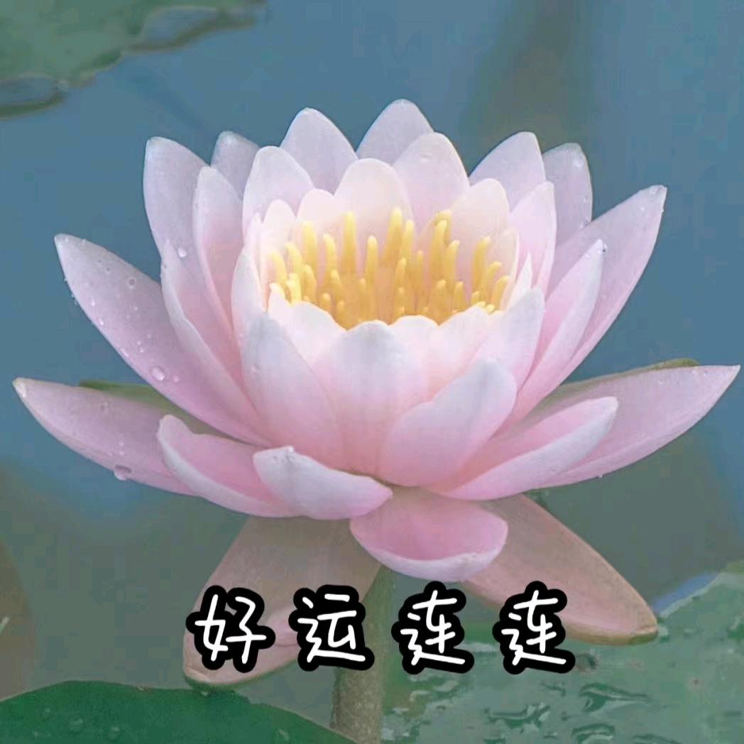 好运连连~✨️527💫LQ