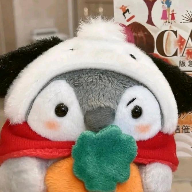 往事清秋濯