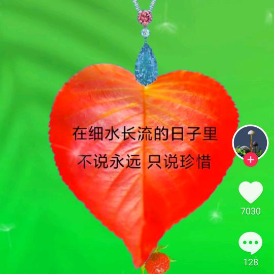 华州区井师汽车电器