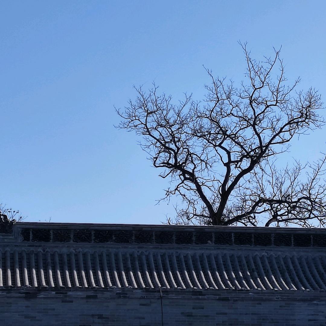 三颗石头