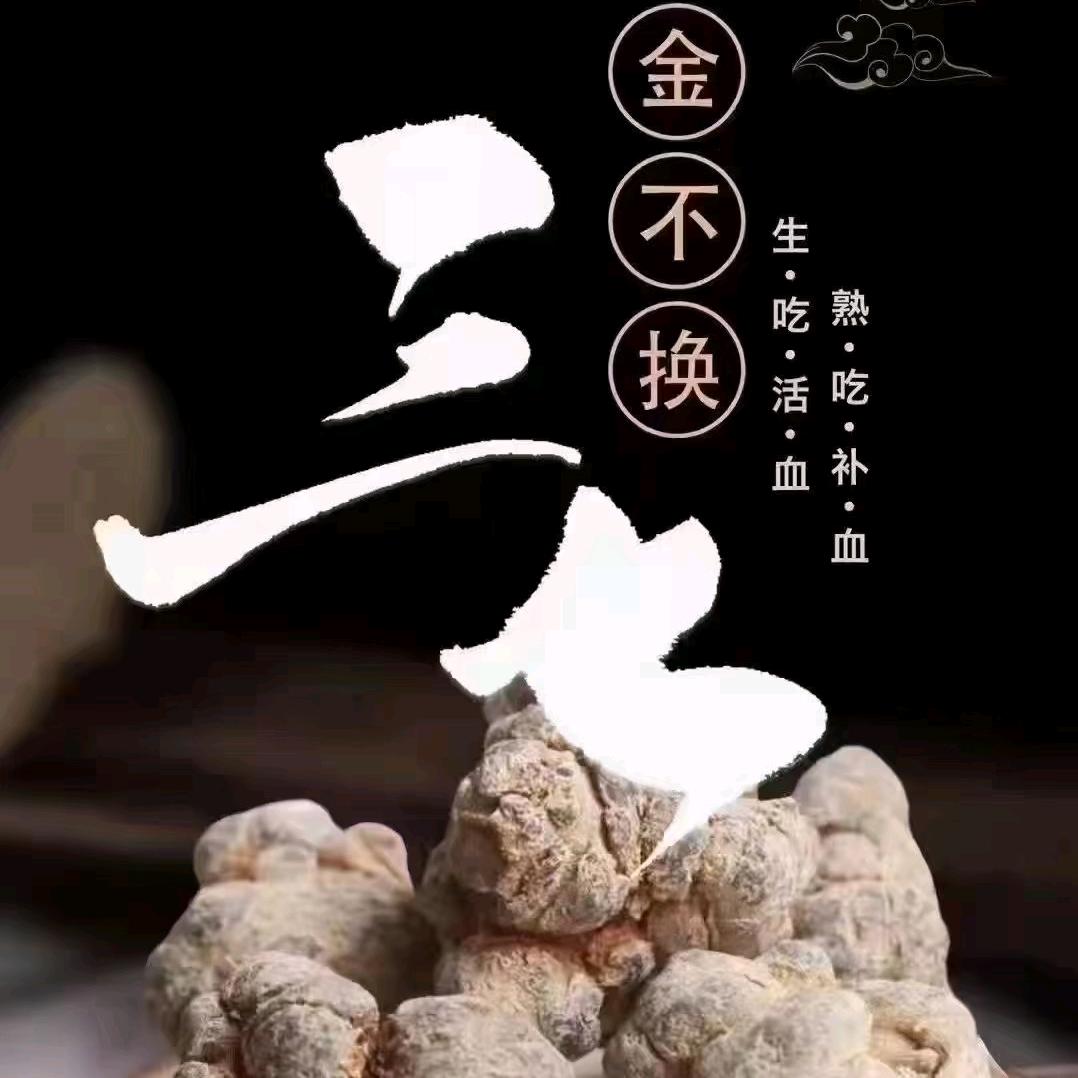 叁柒人生