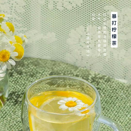 织女星