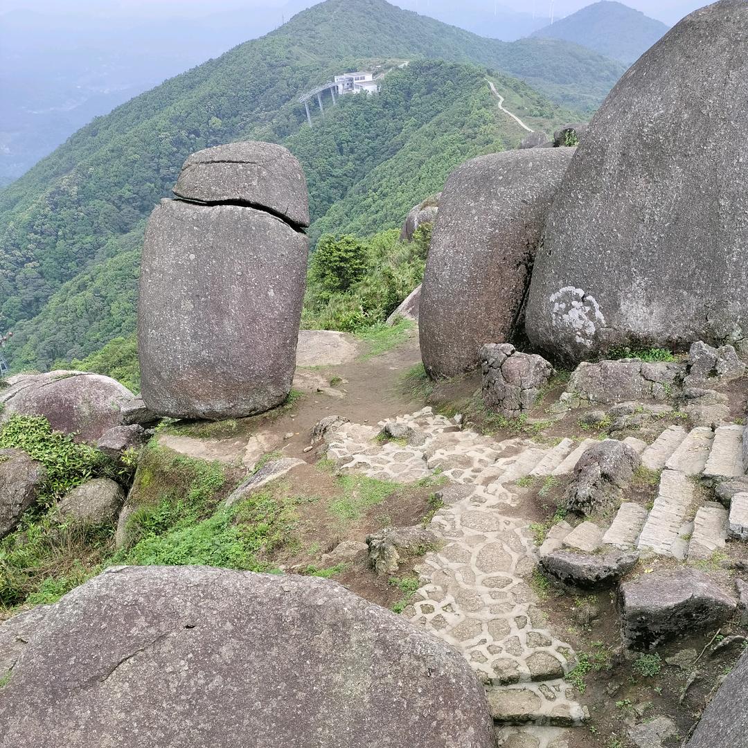 毛仔