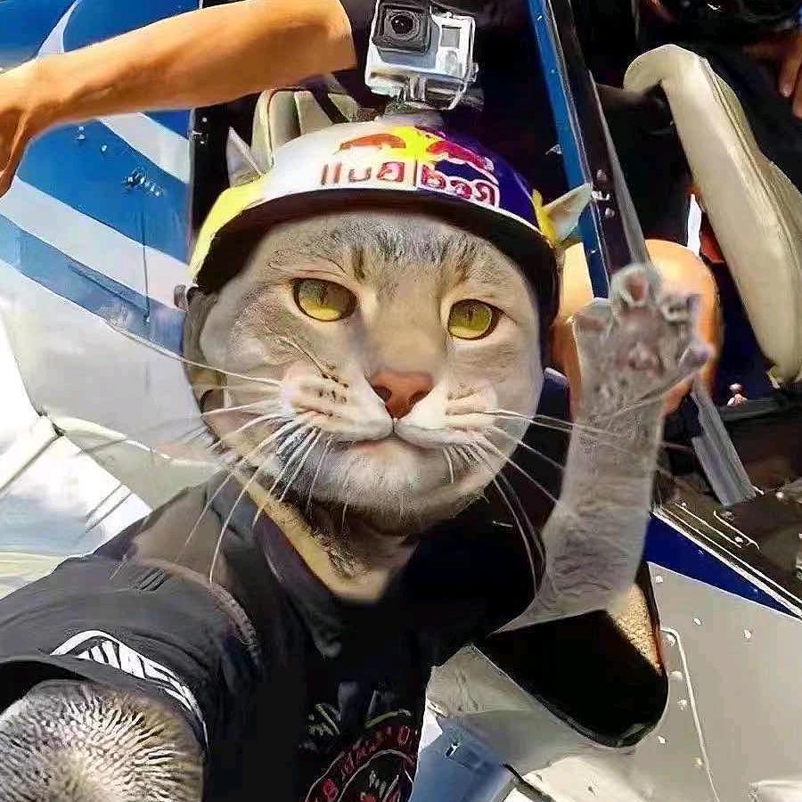 记得填名字哦！