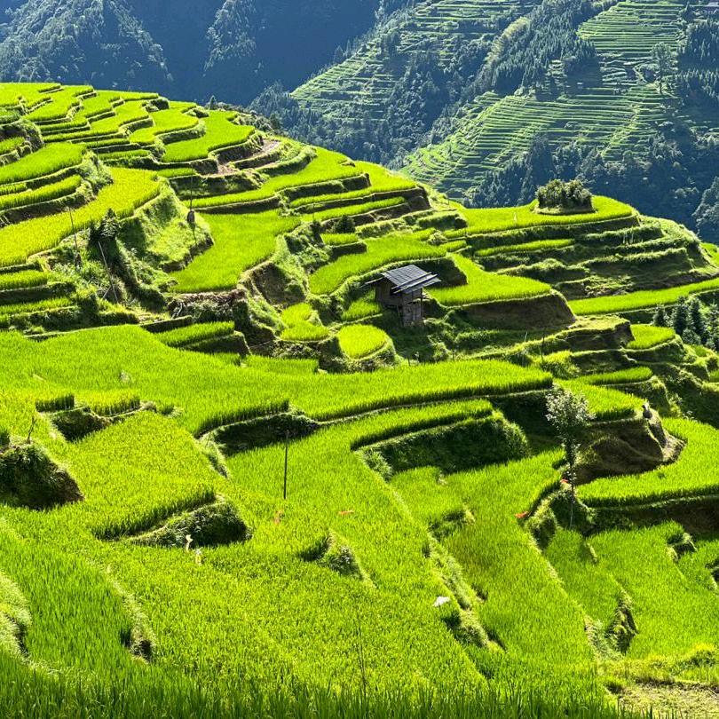 黔乡农人