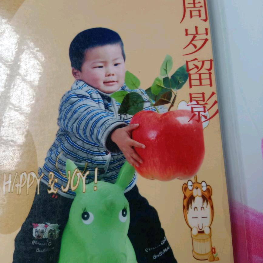 梅花🌺