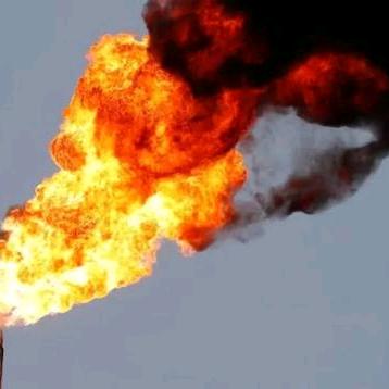 菩提树下扫落叶