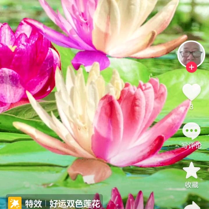 @好运连莲