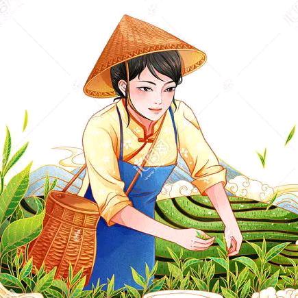二哥家的茶