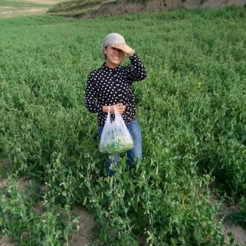 一见倾心