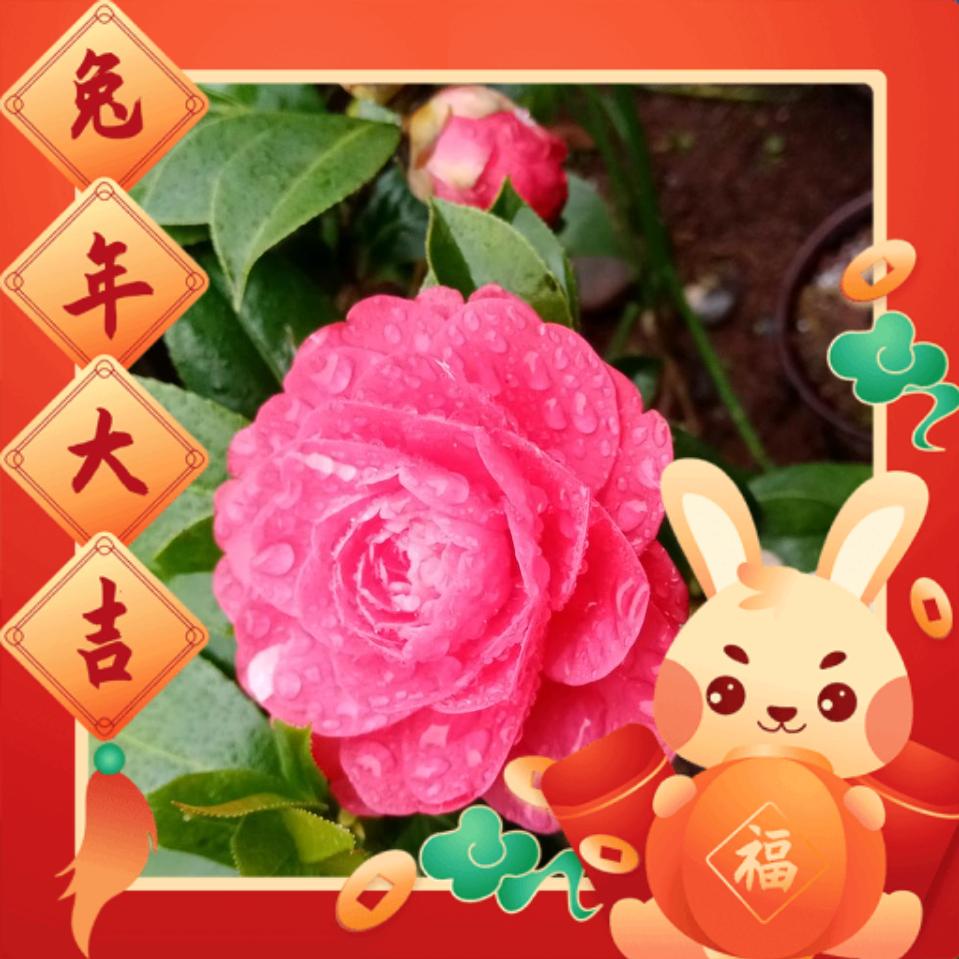 秀