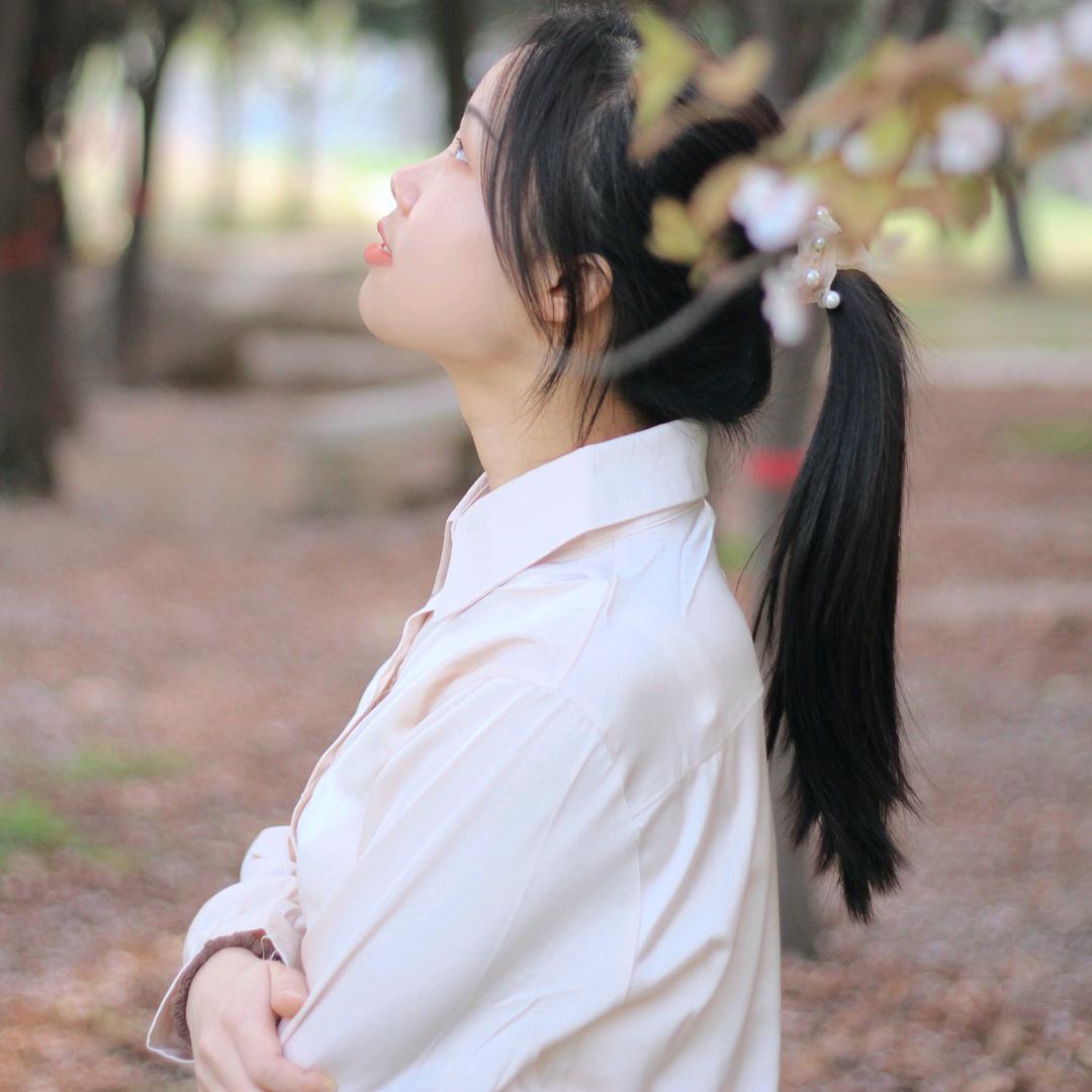 小树苗