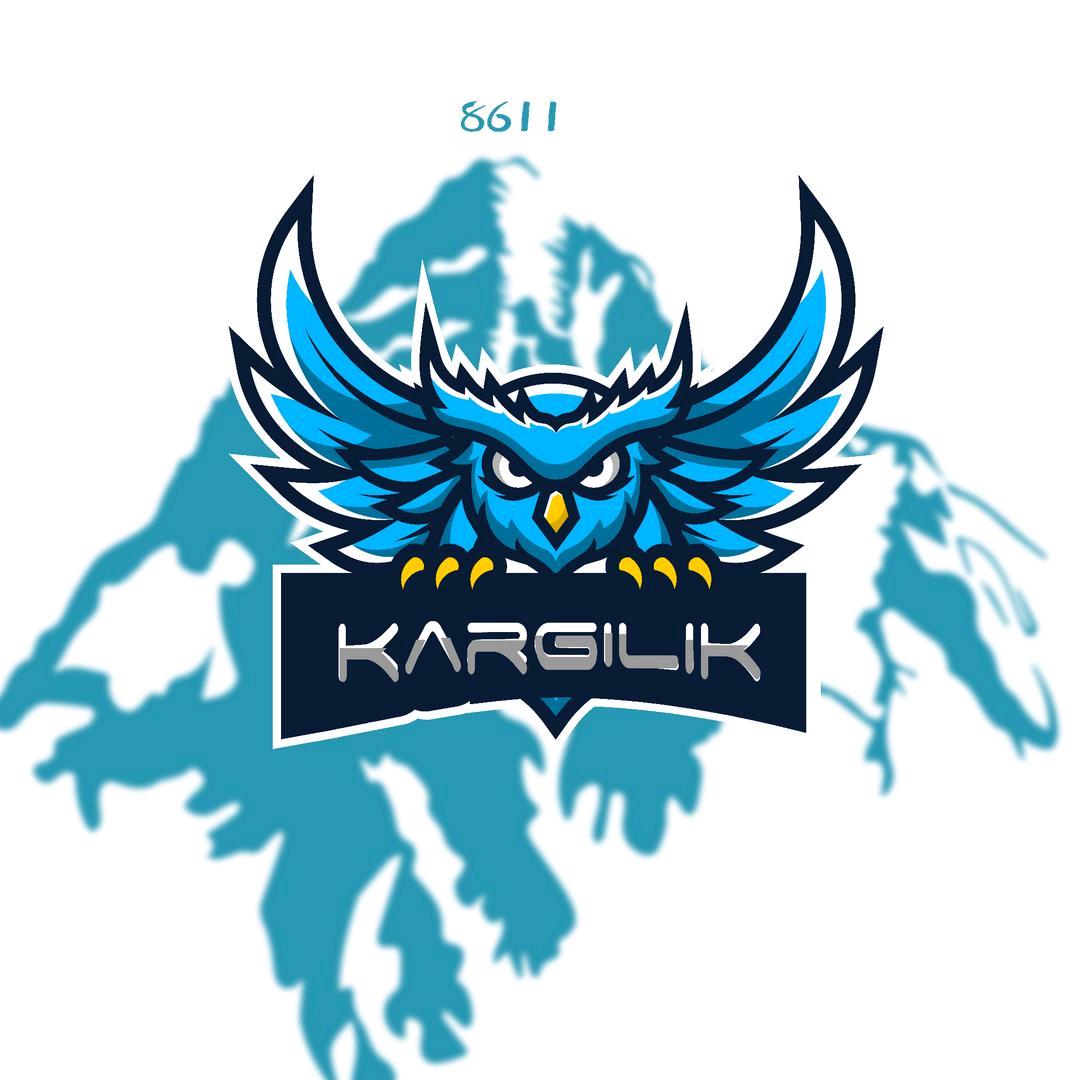 Kargilik的猫头鹰