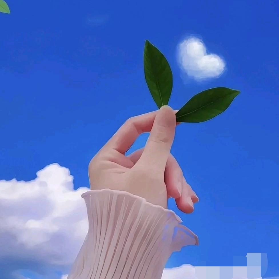 L~~