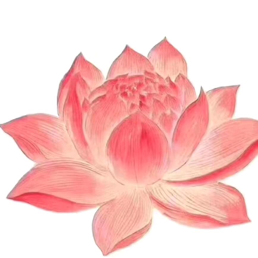 梵音.安如