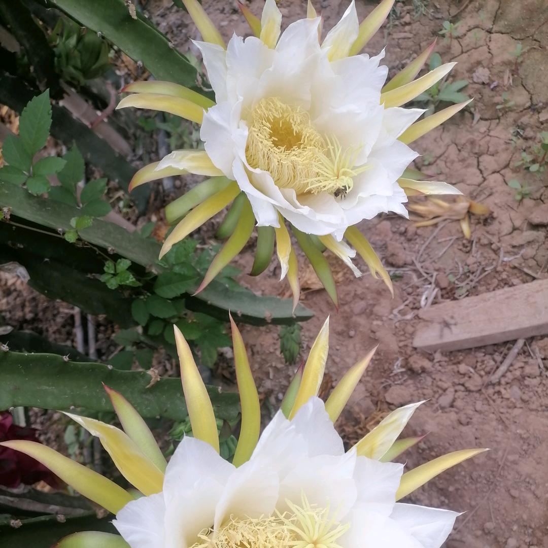 岁月静好