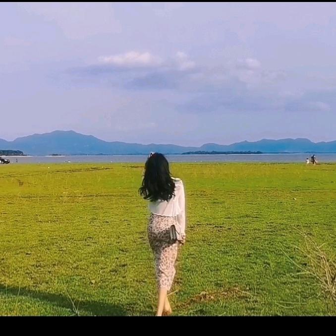惠若兰心